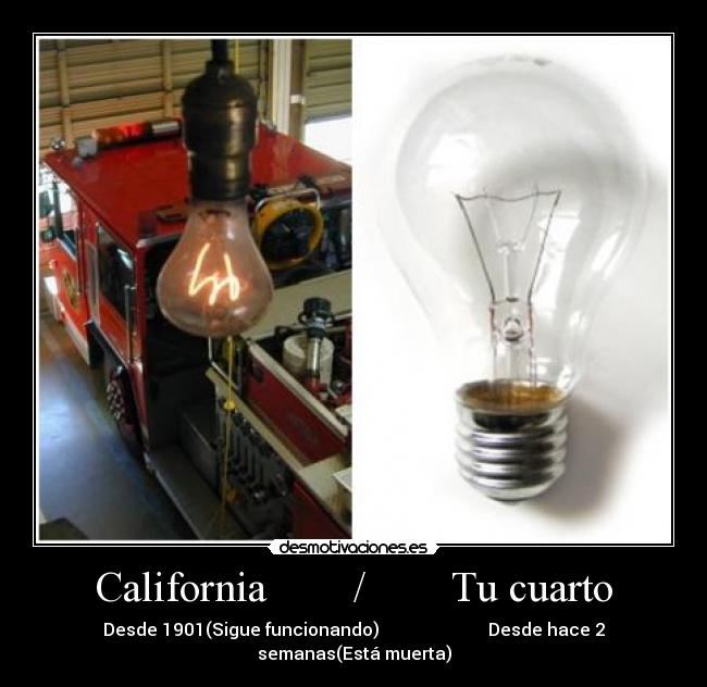 California        /        Tu cuarto - 