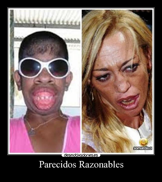 Parecidos Razonables -