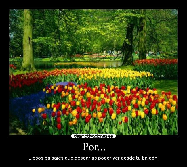 carteles paisajes hermosos ventanas desmotivaciones