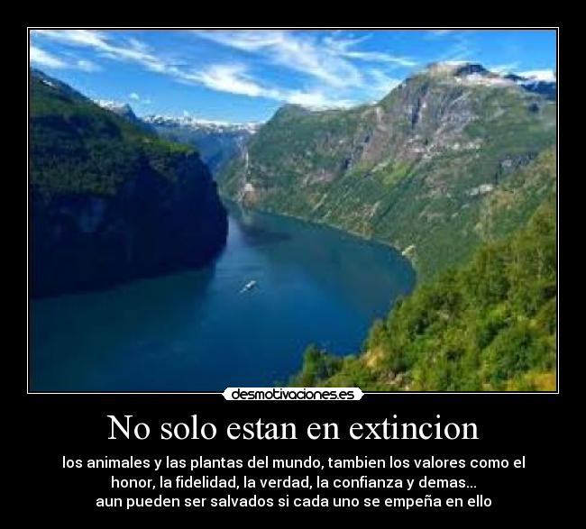 No solo estan en extincion - los animales y las plantas del mundo, tambien los valores como el
honor, la fidelidad, la verdad, la confianza y demas...
aun pueden ser salvados si cada uno se empeña en ello