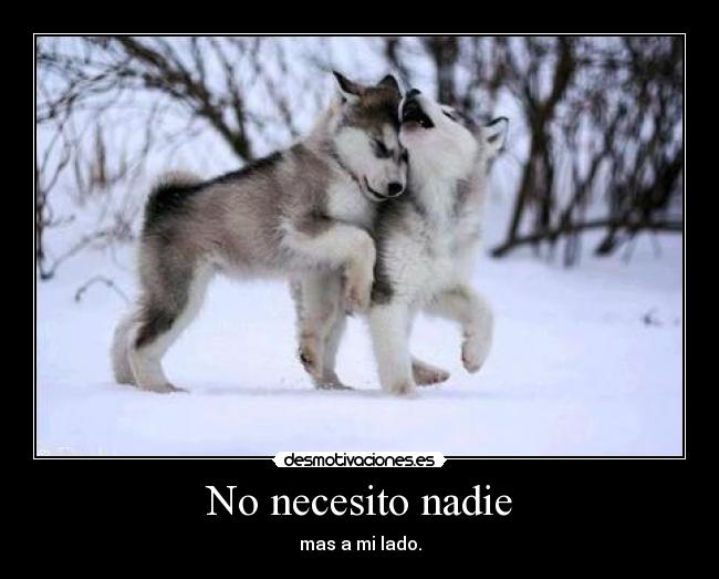No necesito nadie -