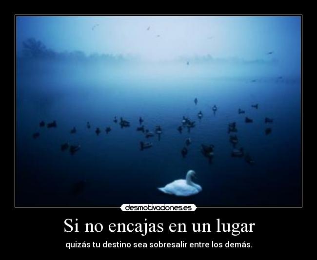 Si no encajas en un lugar - quizás tu destino sea sobresalir entre los demás.