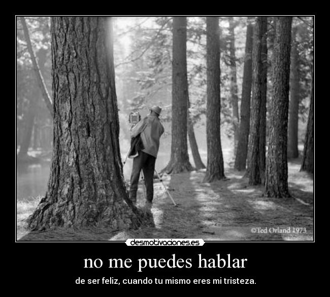 no me puedes hablar - de ser feliz, cuando tu mismo eres mi tristeza.