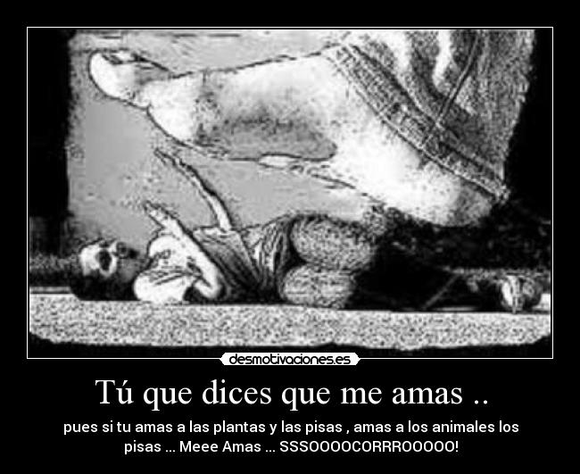 TU ME DICES QUE ME AMAS REGGAETON tu me dices que me amas reggaeton: