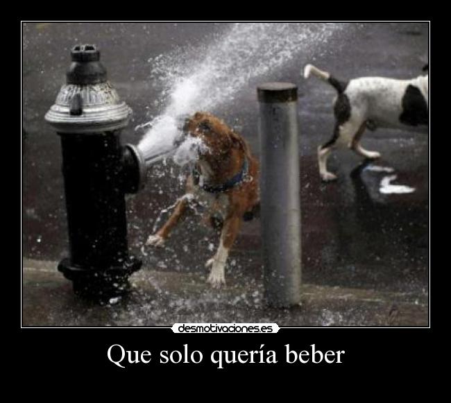 Que solo quería beber -