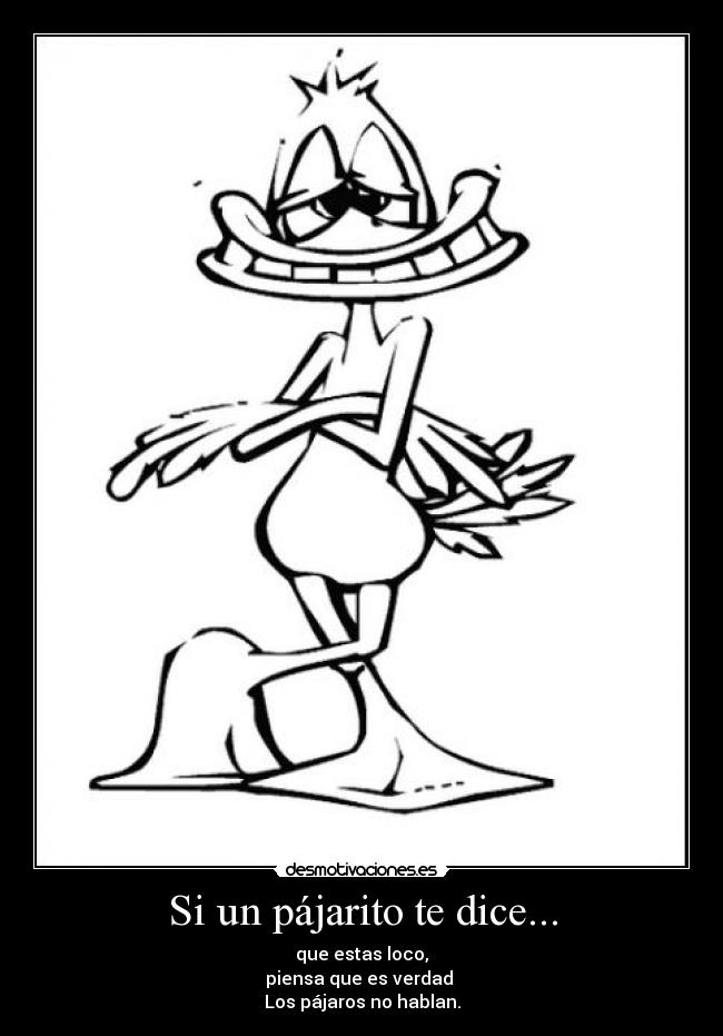 Si un pájarito te dice... - que estas loco,
piensa que es verdad
Los pájaros no hablan.