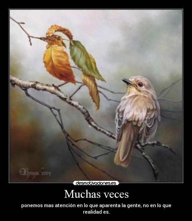 Muchas veces - ponemos mas atención en lo que aparenta la gente, no en lo que realidad es.