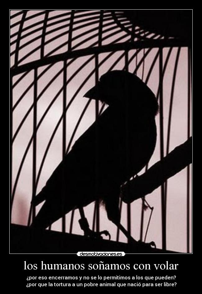 los humanos soñamos con volar - ¿por eso encerramos y no se lo permitimos a los que pueden?
¿por que la tortura a un pobre animal que nació para ser libre?