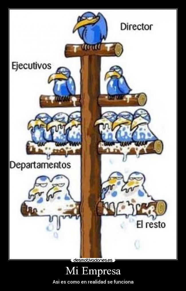 CARTELES DE EMPRESA carteles de empresa: