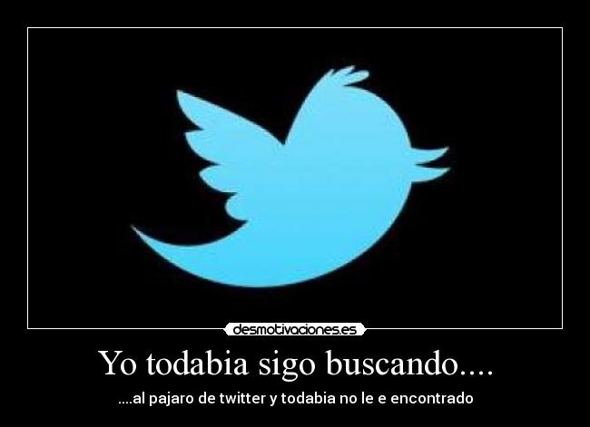 Yo todabia sigo buscando.... - ....al pajaro de twitter y todabia no le e encontrado