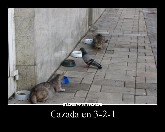Cazada en 3-2-1 -