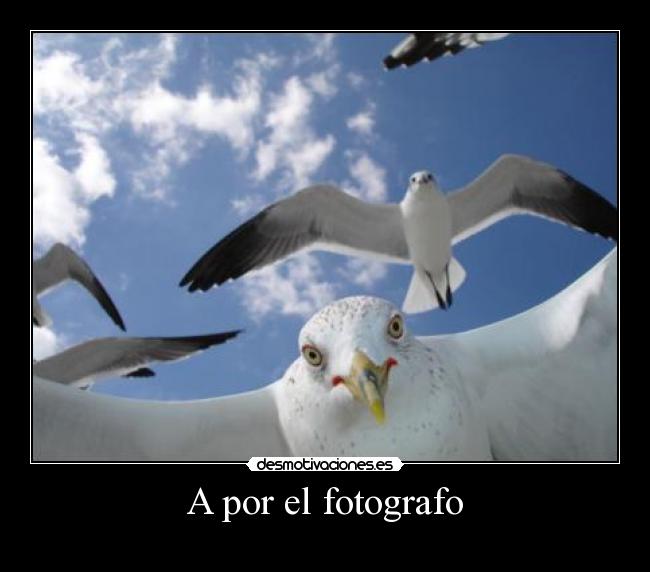 A por el fotografo -