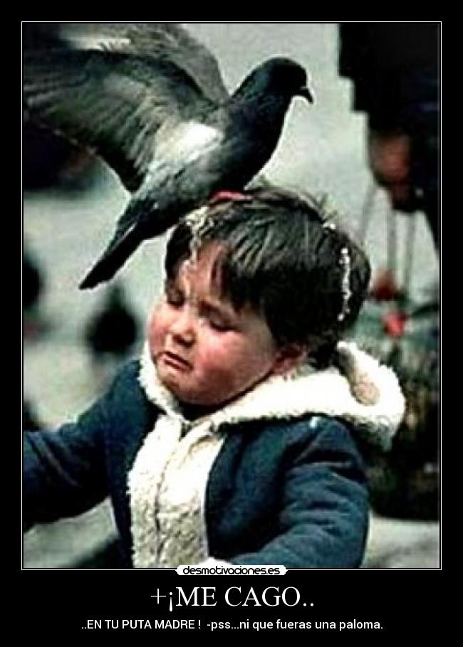 +¡ME CAGO.. - ..EN TU PUTA MADRE ! -pss...ni que fueras una paloma.