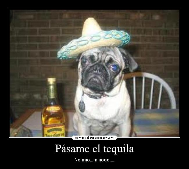Pásame el tequila - No mio...miiiooo.....