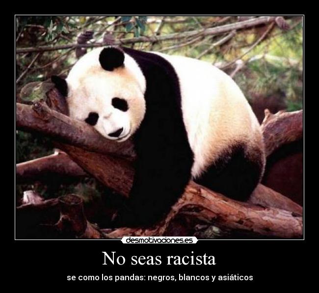 No seas racista - 
