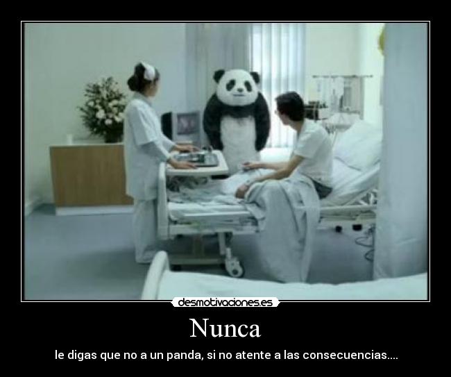Nunca - le digas que no a un panda, si no atente a las consecuencias....