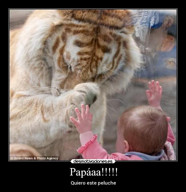 Papáaa!!!!! - Quiero este peluche