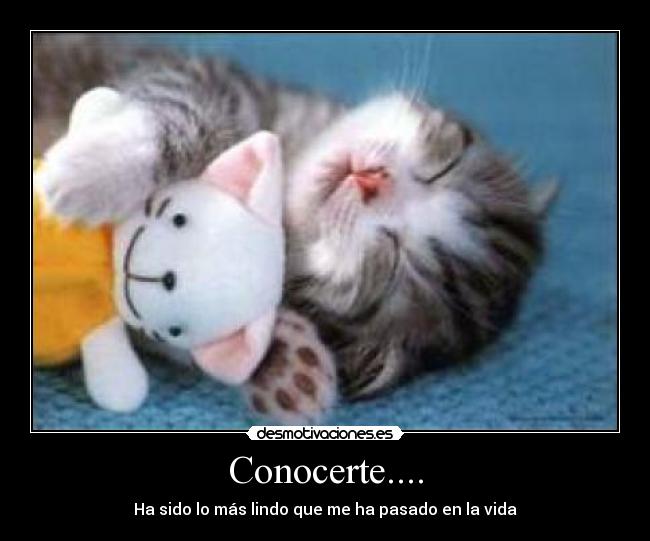 Conocerte.... - Ha sido lo más lindo que me ha pasado en la vida