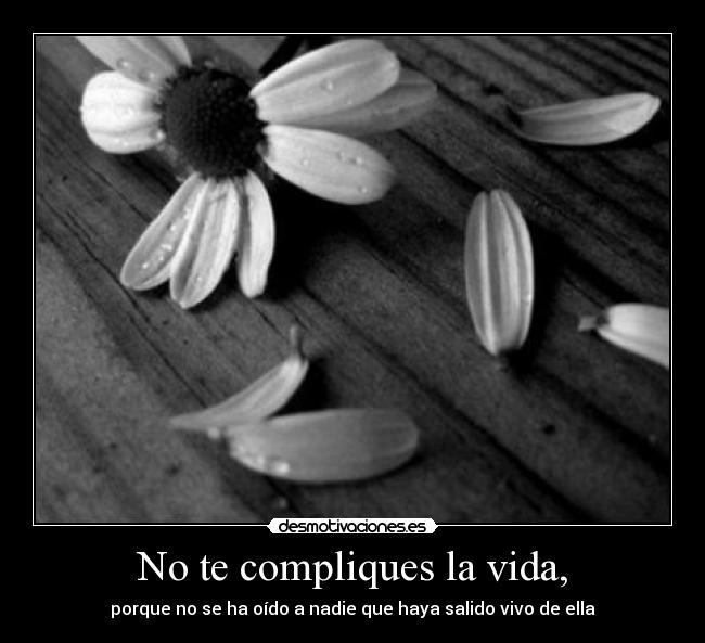 No te compliques la vida, -
