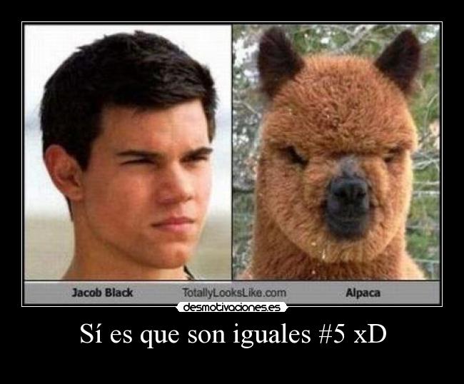 Sí es que son iguales #5 xD -