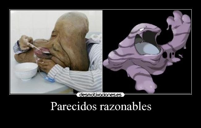 Parecidos razonables - 