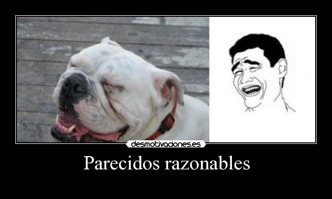 Parecidos razonables -