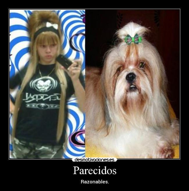 Parecidos - Razonables.