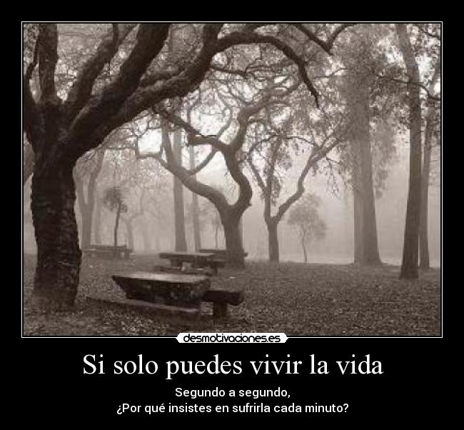 Si solo puedes vivir la vida - Segundo a segundo,
¿Por qué insistes en sufrirla cada minuto?