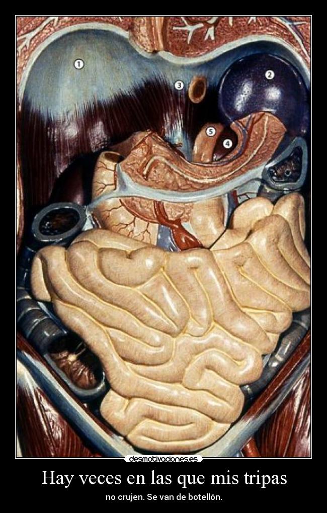 carteles veces desmotivaciones