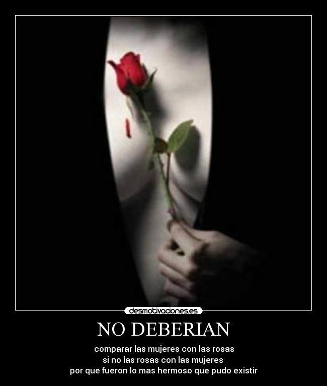 NO DEBERIAN - 
