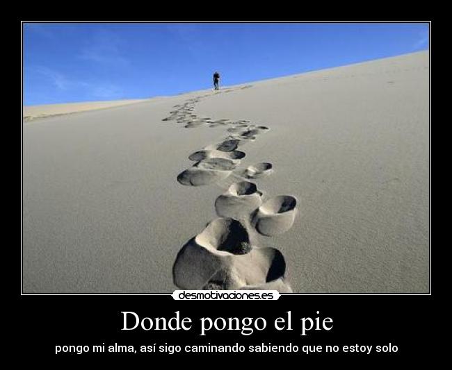 carteles donde pongo pie desmotivaciones