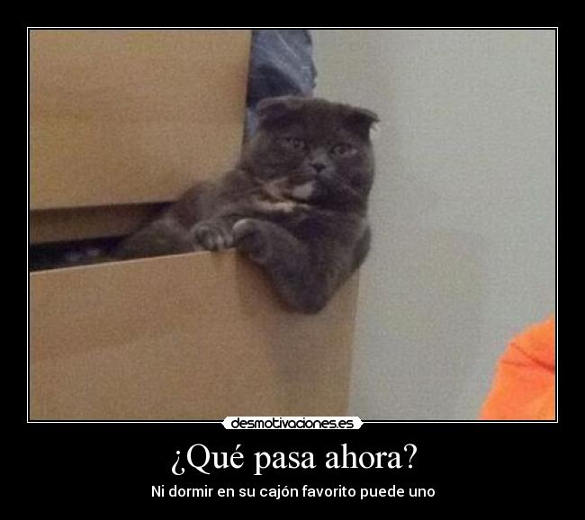 carteles muajaj luego entrare violo desmotivaciones