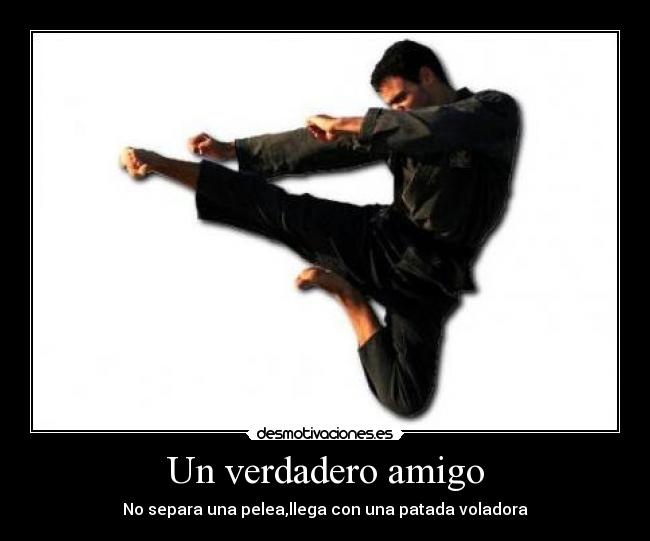 Un verdadero amigo - No separa una pelea,llega con una patada voladora