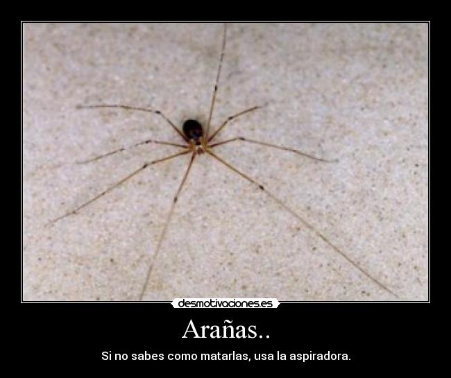 Arañas.. -