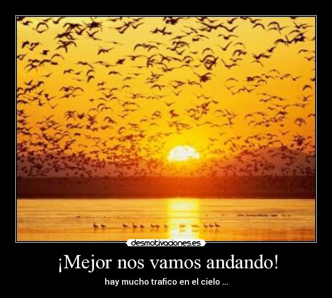 ¡Mejor nos vamos andando! - 
