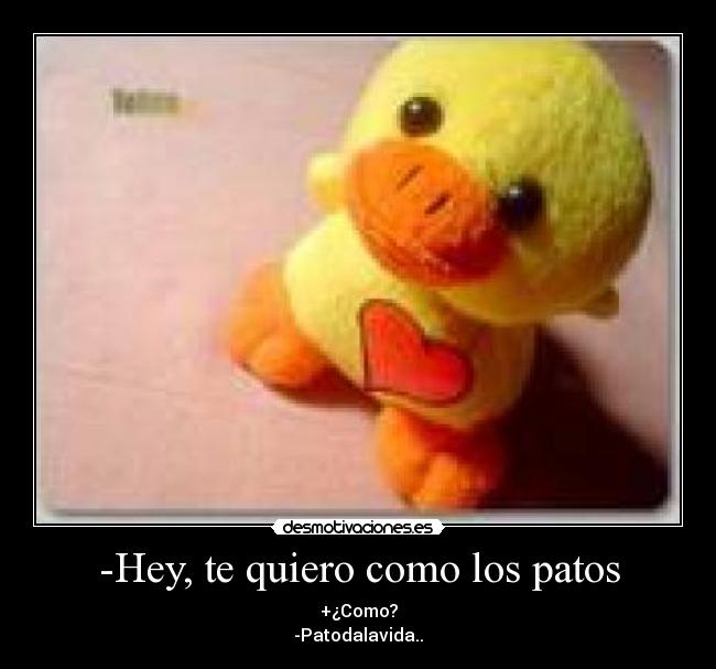 -Hey, te quiero como los patos - +¿Como?
-Patodalavida..