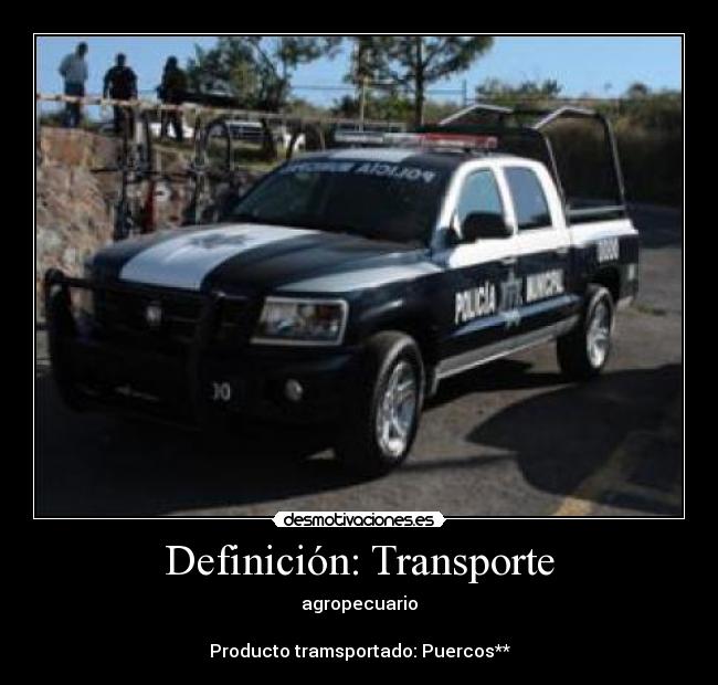 Definición: Transporte - agropecuario

Producto tramsportado: Puercos**