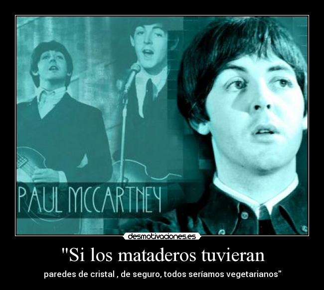 Si los mataderos tuvieran - paredes de cristal , de seguro, todos seríamos vegetarianos