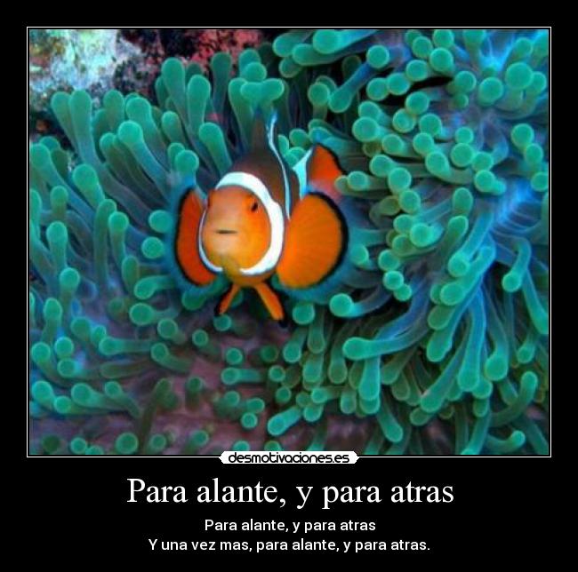 Para alante, y para atras - Para alante, y para atras
Y una vez mas, para alante, y para atras.