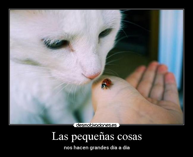 Las pequeñas cosas -