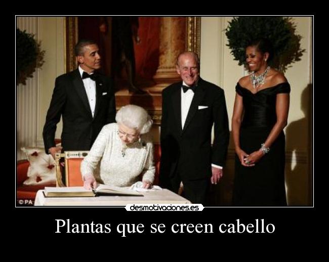 Plantas que se creen cabello -