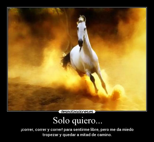 Solo quiero... - ¡correr, correr y correr! para sentirme libre, pero me da miedo
tropezar y quedar a mitad de camino.