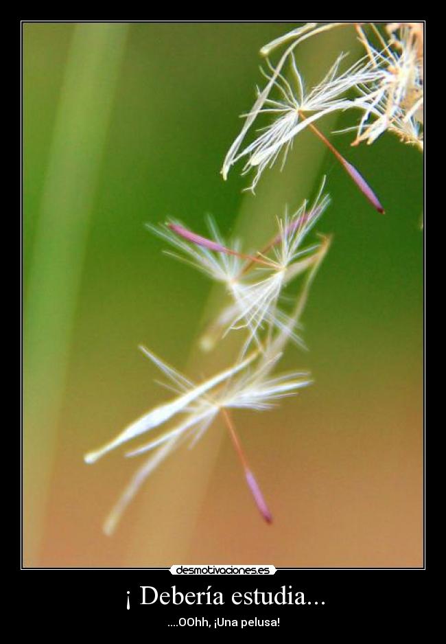 ¡ Debería estudia... -