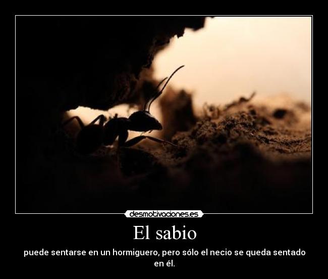 El sabio - 