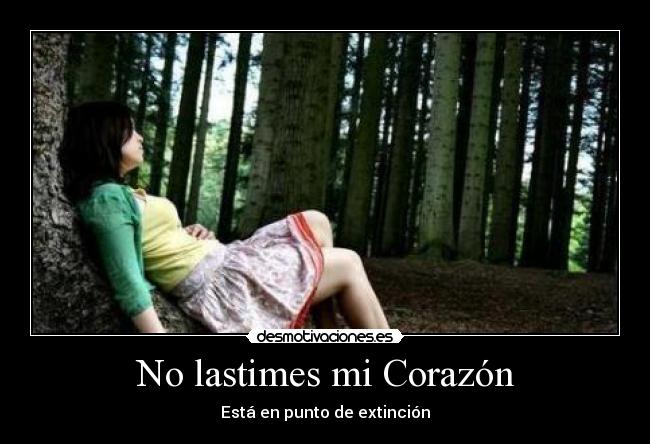 No lastimes mi Corazón - 