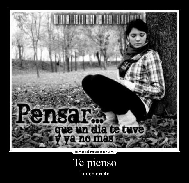 carteles pienso luego existo desmotivaciones