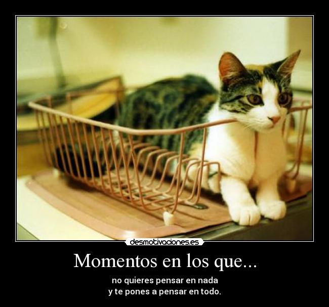 Momentos en los que... - no quieres pensar en nada
y te pones a pensar en todo.