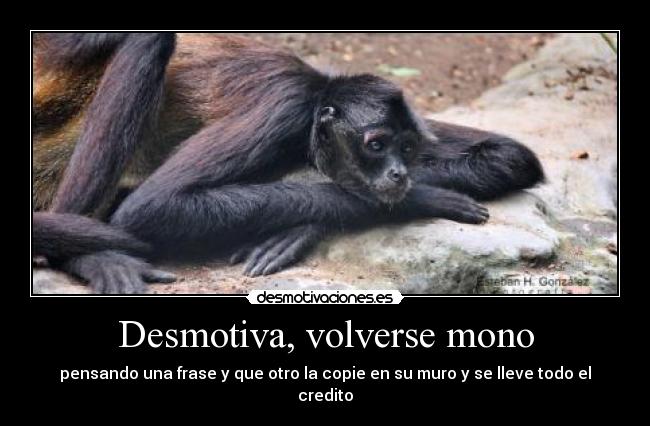 Desmotiva, volverse mono - pensando una frase y que otro la copie en su muro y se lleve todo el credito