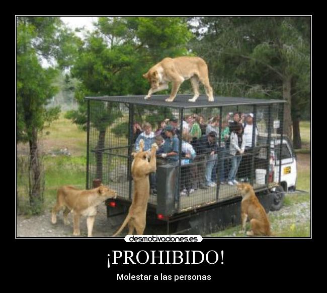 ¡PROHIBIDO! - Molestar a las personas