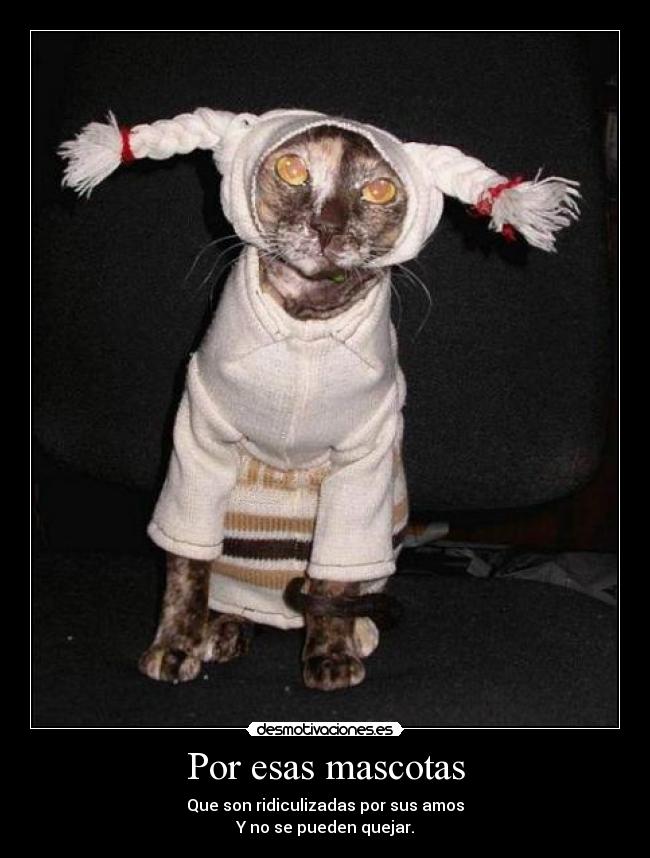 Por esas mascotas - Que son ridiculizadas por sus amos
Y no se pueden quejar.